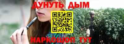 стаф Краснодар