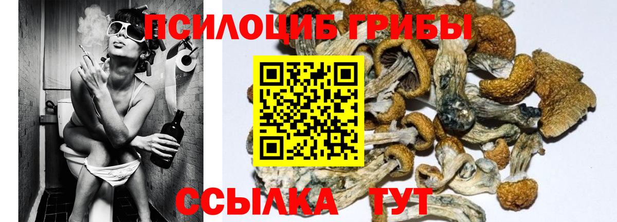Галлюциногенные грибы мухоморы  Псилоцибиновые грибы Psilocybine cubensis  Вход с VPN  Екатеринбург 